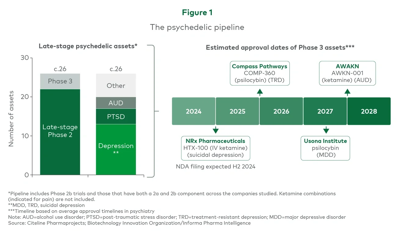 Figure 1. The psychedelic pipeline 