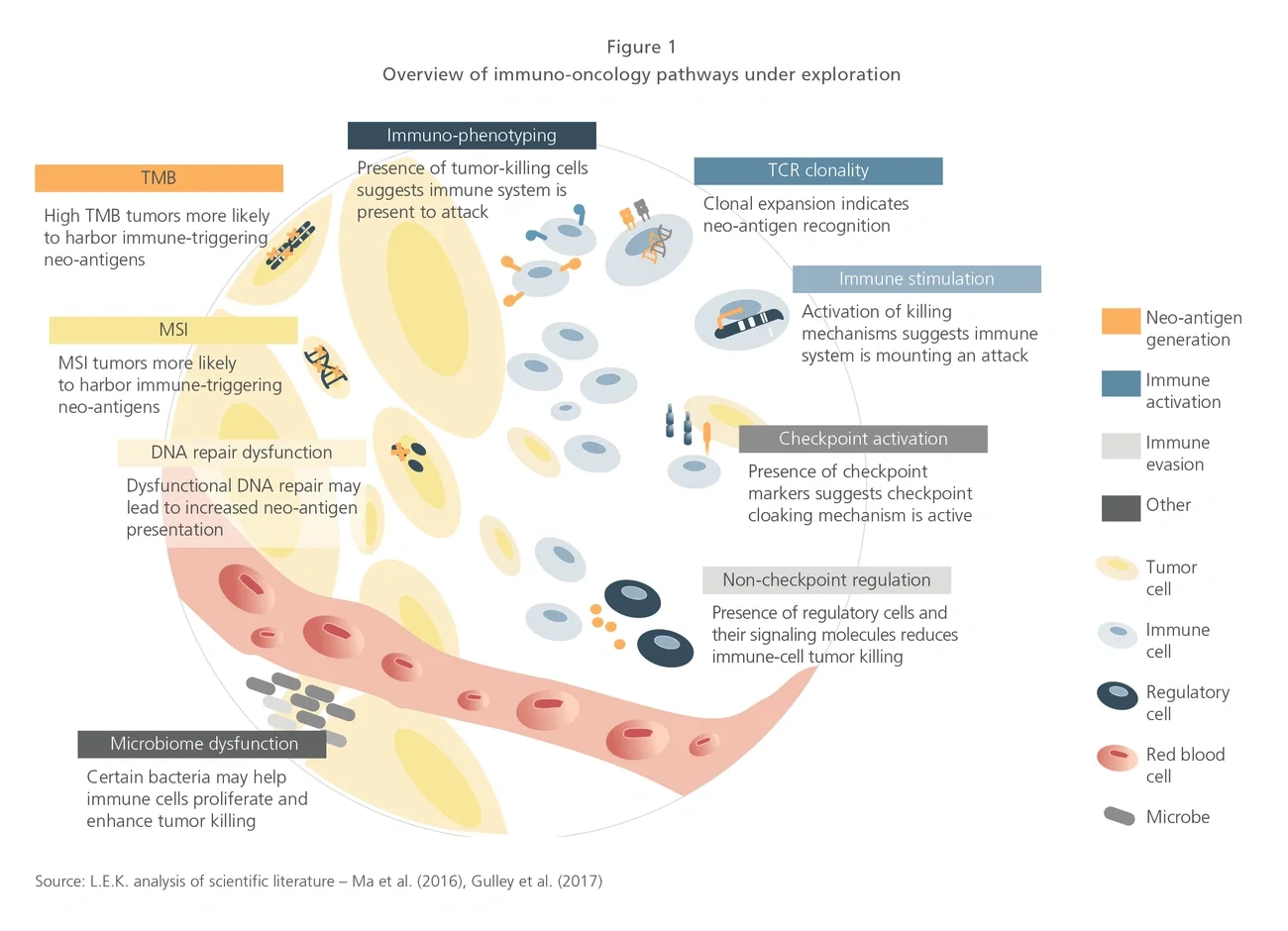 Overview of immuno-oncology pathways under exploration