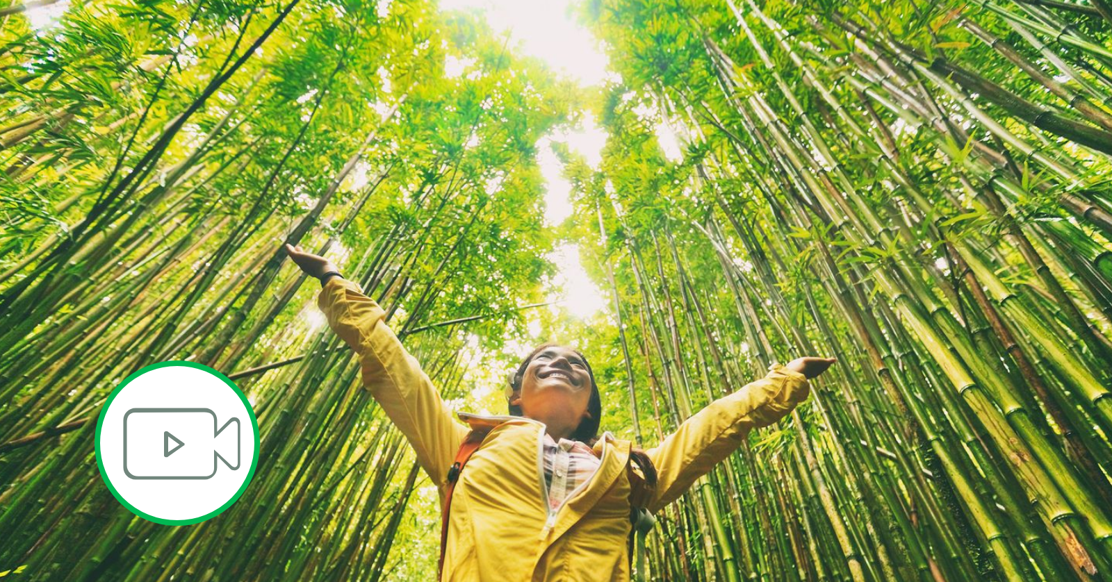 video teaser woman in forest